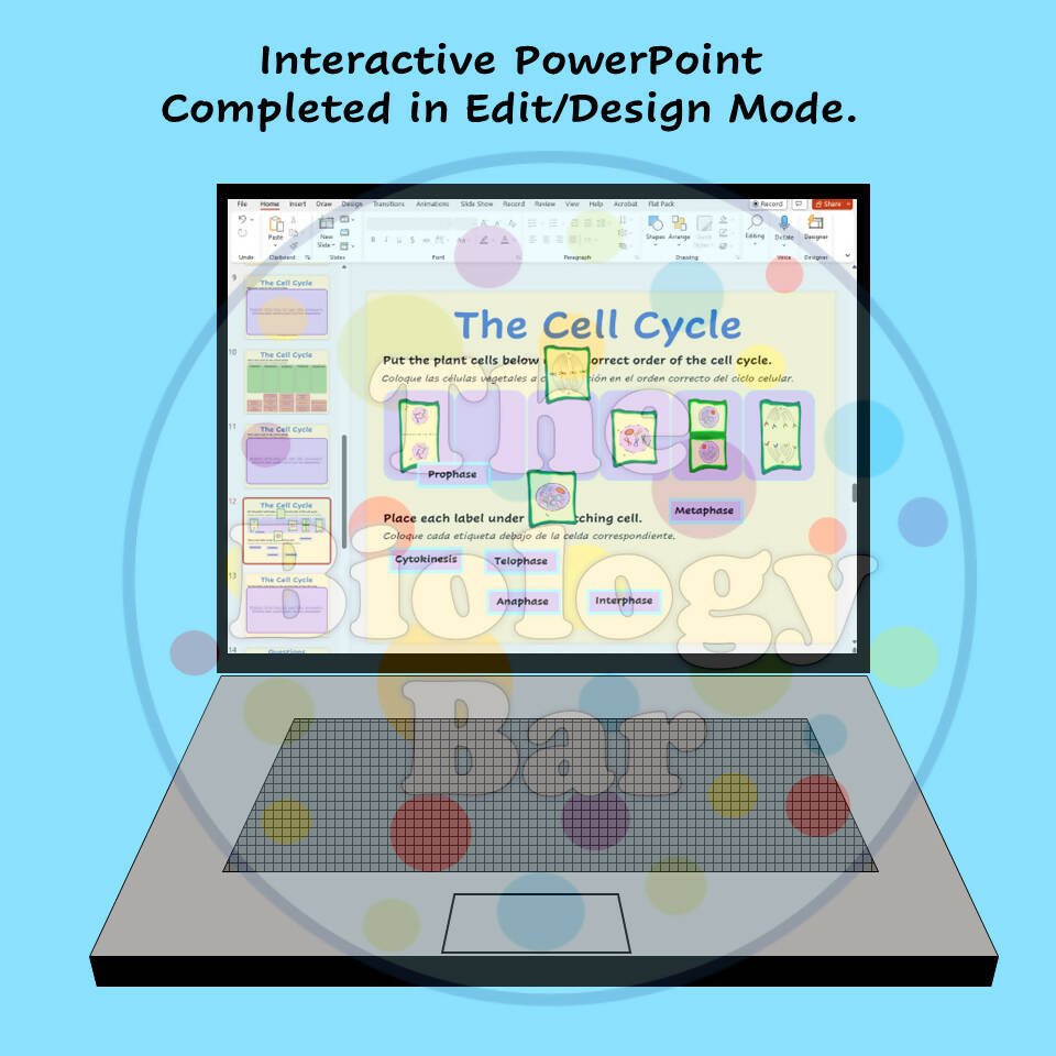 Biology Cell Cycle & Mitosis Interactive PowerPoint – Bilingual Marketplace