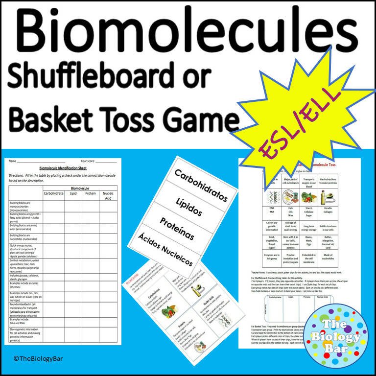 Biology Biomolecule Shuffleboard or Basket Toss Game – Bilingual ...