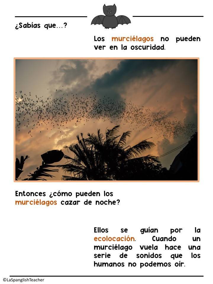 Los Murciélagos A Spanish Bats Unit Bilingual Marketplace