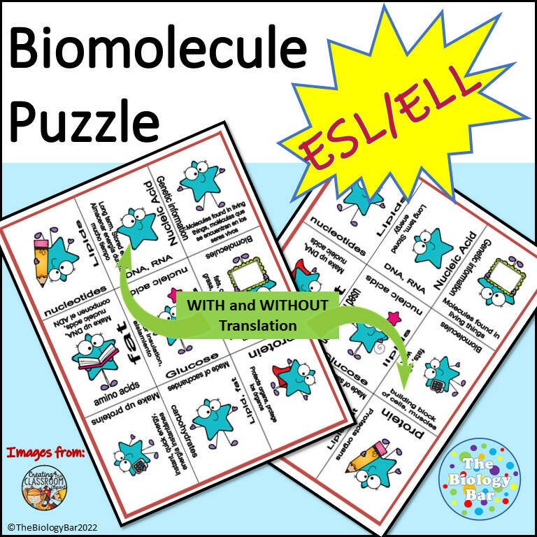 Biology Biomolecules Puzzle Bilingual Marketplace