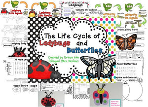 Life Cycle Unit - Ladybug and Butterfly Grades 1-3