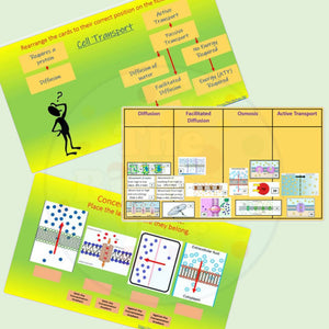 Biology Cell Transport Interactive PowerPoint