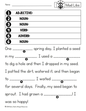 Bilingual Spring Mad Libs