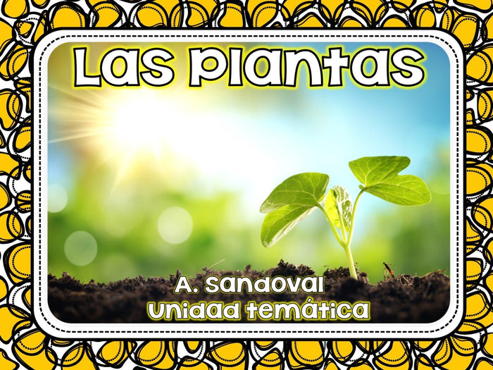 Plant Unit  Plantas