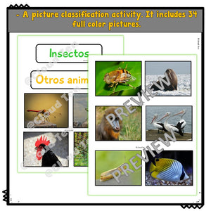 Los insectos