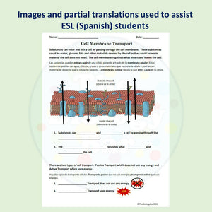 Biology Cell Transport Reading and Writing