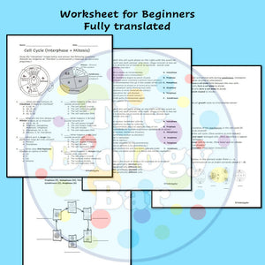 Biology Cell Cycle Mitosis Worksheet