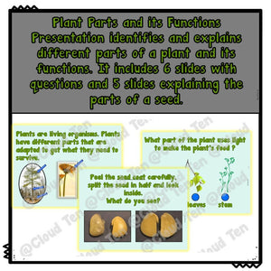 Comparar partes de las plantas