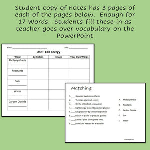 Biology Cell Energy Vocabulary Notes