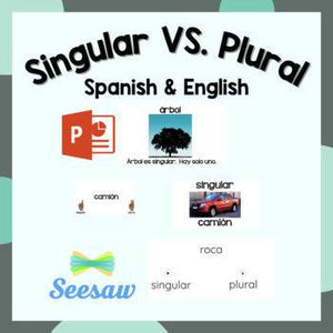 Singular VS. Plural Spanish & English