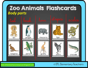 Zoo Animals Body Cards and activity sheets