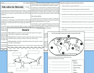 Tiburones no ficción SPANISH Reading Comprehension Activities