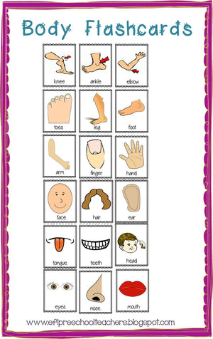 Body Unit for Kindergarten ELL