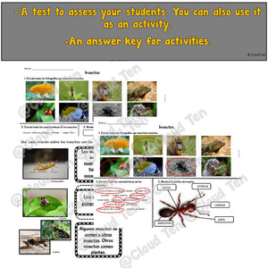 Los insectos in Google Slides™