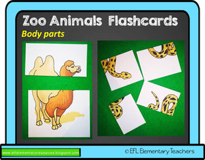 Zoo Animals Body Cards and activity sheets