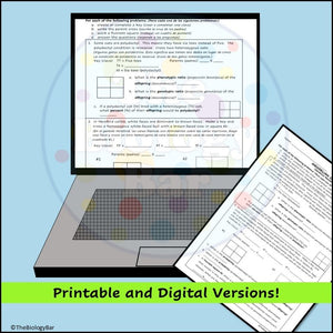 Genetics Monohybrid Punnett Square Problems