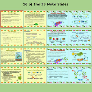 Biology Cell Energy PowerPoint Notes and Student Guided Notes