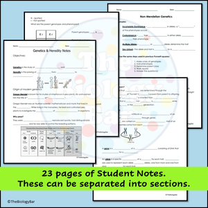 Genetics PowerPoint Notes