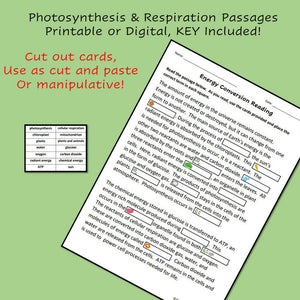 Biology Cell Energy Reading Passage