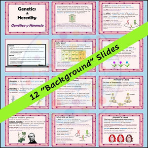 Genetics PowerPoint Notes