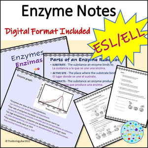 Biology Enzyme PowerPoint Notes and Student Notes