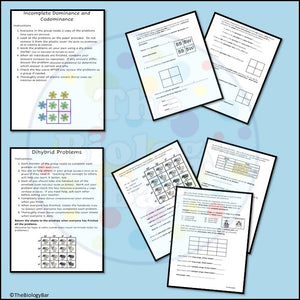 Genetics Station Review