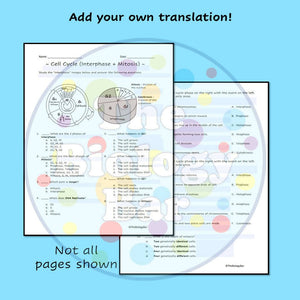 Biology Cell Cycle Mitosis Worksheet