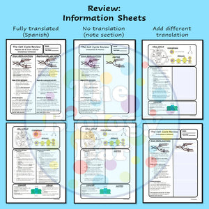 Biology Cell Cycle Mitosis Review & Test