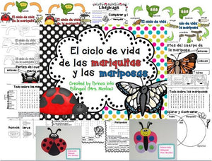 Unidad Ciclo de Vida - Mariquita y Mariposa Grados 1-3