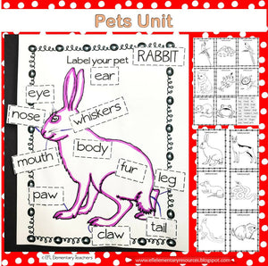 Pet Theme for Elementary ELL