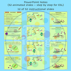 Biology Protein Synthesis PowerPoint and Student Notes