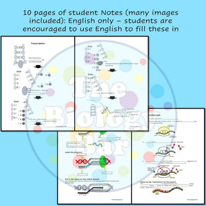 Biology Protein Synthesis PowerPoint and Student Notes