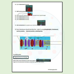 Biology Cell Transport Bioman Simulation