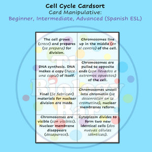 Biology Cell Cycle Mitosis Card Sort