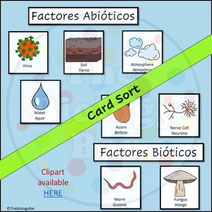 Abiotic Biotic Card Sort Biology