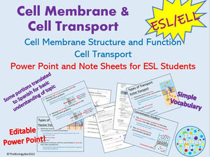 Biology Cell Transport PowerPoint Notes and Student Worksheet