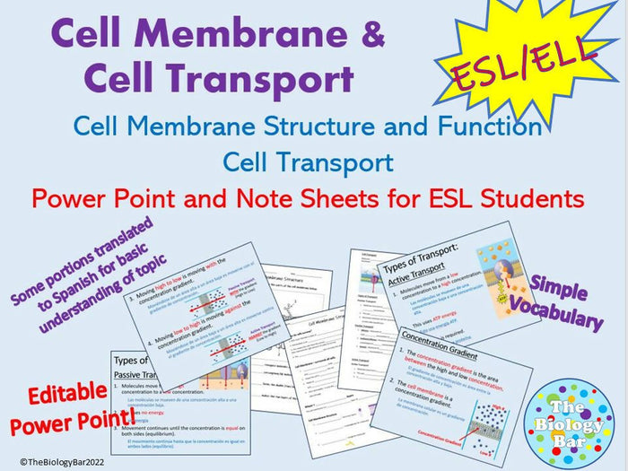 Biology Cell Transport PowerPoint Notes and Student Worksheet