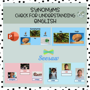 Synonyms Check for Understanding Spanish & English