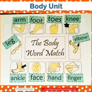 Body Theme for Elementary ELL