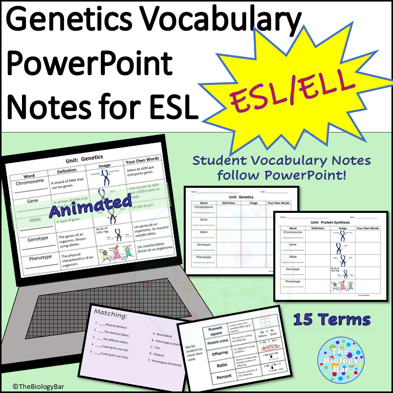 Genetics Guided Notes Genetics Vocabulary PowerPoint Guided Notes – Bilingual Marketplace