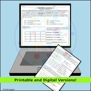 Genetics Dihybrid Punnett Square Problems