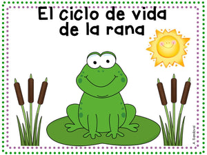 Frog Life Cycle Ciclo de vida de la rana