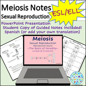 Biology Meiosis Notes