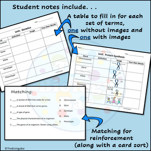 Genetics Vocabulary PowerPoint Guided Notes