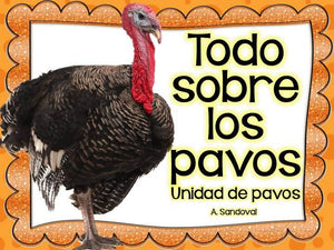 Todo sobre los pavos