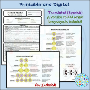 Biology Meiosis Review and Assessment