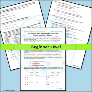 Genetics Genotypes and Phenotypes Worksheet