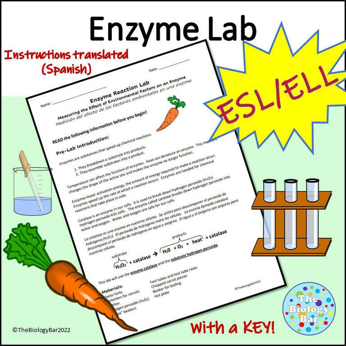 Biology Enzyme Lab with Carrots