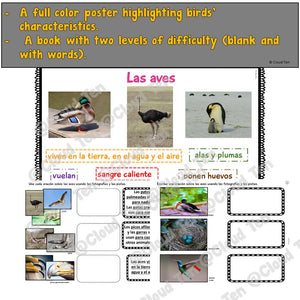 Las aves in Google Slides™