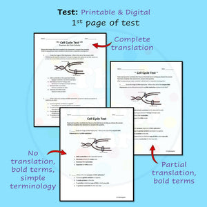 Biology Cell Cycle Mitosis Review & Test